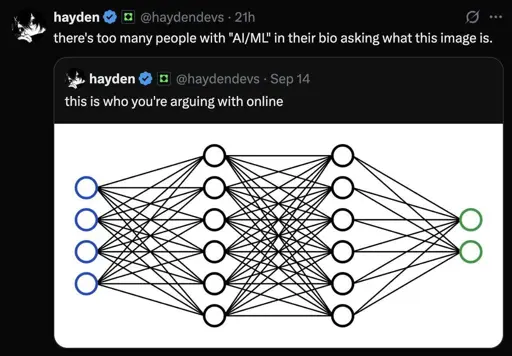 Post:"this is who you're arguing with online" Picture of a neural network. Reply:"there's too many people with "AI/ML" in their bio asking what this image is"