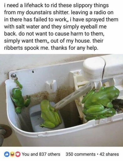 facebook post of frogs inside of the tank of a toilet. the post reads: "i need a lifehack to rid these slippory things from my dounstairs shitter. leaving a radio in there has failed to work,, i have sprayed them with salt water and they simply eyeball me back. do not want to cause harm to them, simple want them,, out of my house. their ribberts spook me. thanks for any help."